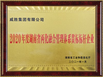 湖南省兩地融合管理體系貫標(biāo)標(biāo)桿企業(yè)