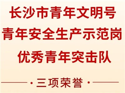 威勝集團(tuán)榮獲共青團(tuán)長沙市委“號手崗隊”建功大競賽三項榮譽