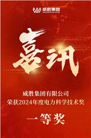 喜訊 | 威勝集團(tuán)榮獲 2024 年度電力科學(xué)技術(shù)一等獎(jiǎng)