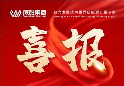 排名第一！威勝集團(tuán)2024年中標(biāo)國(guó)網(wǎng)總部集中招標(biāo)采購(gòu)項(xiàng)目總金額達(dá)5.97億元！